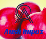 Ansh Traders Logo