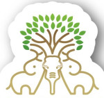 Triple Elephant Corporation Llp Logo