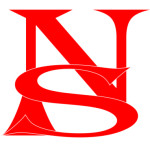 Nisha Systems Logo