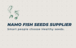 Namo Fish Seeds Supplies