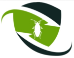 Vizag City Pest Control Services