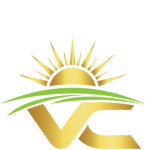 Vibrantsoul Corporation