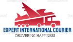Expert International Courier Logo