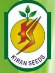 Kiran Seeds Pvt. Ltd. Logo