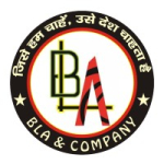 Bla And Company Logo