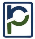 PRASOM TECHNOLOGIES INDIA PRIVATE LIMITED Logo