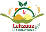 Lehzaaz International Logo