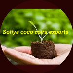 SOFIYA COCO COIRS EXPORTS