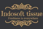 Indosoft Logo
