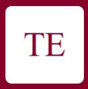 Tejas Enterprises Logo