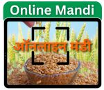 Online Mandi Logo