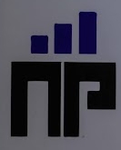 Nikhil S Patkar Tax Consultant Logo