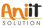 Ani IT Solutions