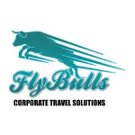 Flybulls Services Private Limited