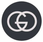 Goyal overseas Logo