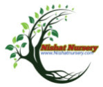 Nishat Nursery Logo