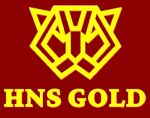 HNS Gold Best Gold Buyer Guwahati Logo