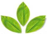 Sonai Agri Pvt Ltd Logo