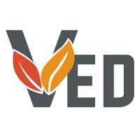 Ved International Logo