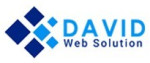David Web Solution Logo
