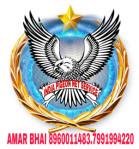 India pigeon net service Logo