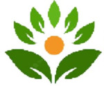 SPAL Trading Pvt. Ltd. Logo