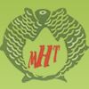 Mithila Hi- Tech Logo
