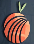 Orange Herbs Pvt Ltd Logo