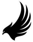 Hawk II Clothings Logo