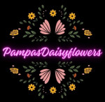 Pampasdaisyflowers Logo
