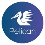 PELICAN FAXTEL TECHNOLOGIES LLP Logo