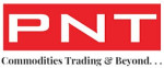 PNT HOLDINGS