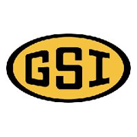 GEE ESS International Logo