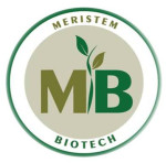 Meristem Biotech Logo