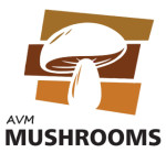 AVM MUSHROOM Logo