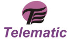 Telematic Interactive Pvt. Ltd Logo