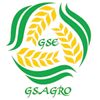 G.s. Enterprises Logo