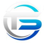 Technoviaan Software development company Logo