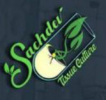 Sachdev Tissue Culture Lab And Nursery Logo