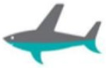 Pacific Blue Cargo Pvt Ltd. Logo