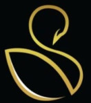 Shamiso Arts and Export Logo