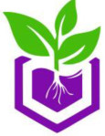 Aaradhya Nursery Logo