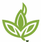 Luxuy Leaf Logo