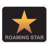 Roaming Star Exim Consulting LLP Logo