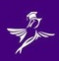 Lilac International fly with us Logo