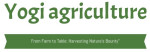 yogi Agriculture Logo