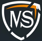 MS ENTERPRISES Logo