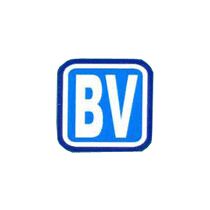 Biswajit Valve Logo