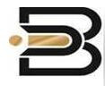 Bharat Group-Cabtech International Logo