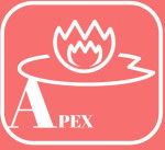 Apex Services